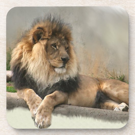 Lion Lovers King of the Dschungel Untersetzer (Vorderseite)