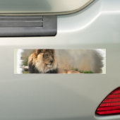Lion Lovers Kunstgeschenke Autoaufkleber (Auf Auto)