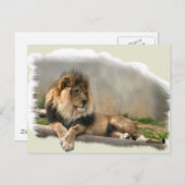 Lion Lovers Kunstgeschenke Postkarte (Vorne/Hinten)