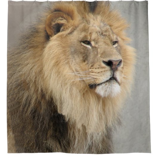 Lion Lovers Wildlife Duschvorhang (Vorderseite)