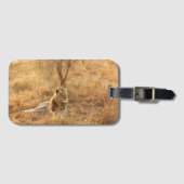 Lion Luggage Tag Gepäckanhänger (Vorderseite (Horizontal))