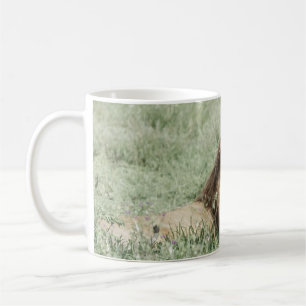 LION LYING ON GREEN GRASS WÄHREND DES TAGES KAFFEETASSE