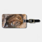 Lion Maasai Mara National Reserve, Kenia Gepäckanhänger (Vorderseite horizontal)