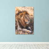 Lion Maasai Mara National Reserve, Kenia Leinwanddruck (Insitu (Holzboden))