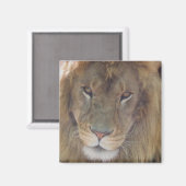 Lion Magnet (Vorderseite/Rückseite)