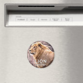 Lion Magnet (In Situ (Geschirrspüler))