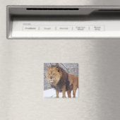Lion Magnet (In Situ (Geschirrspüler))