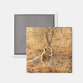 Lion Magnet (Vorderseite/Rückseite)