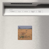 Lion Magnet (In Situ (Geschirrspüler))