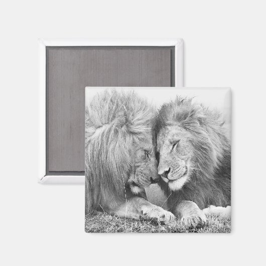 Lion Magnet (Vorderseite/Rückseite)