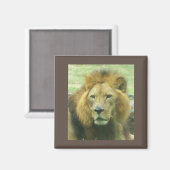 Lion Magnet (Vorderseite/Rückseite)