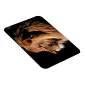 Lion Magnet (Rechte Seite)