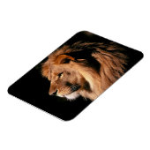 Lion Magnet (Linke Seite)