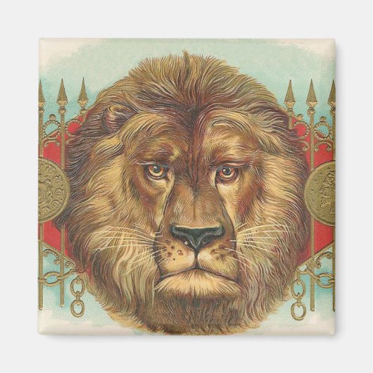 Lion Magnet (Vorne)