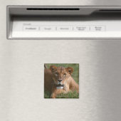 Lion Magnet (In Situ (Geschirrspüler))