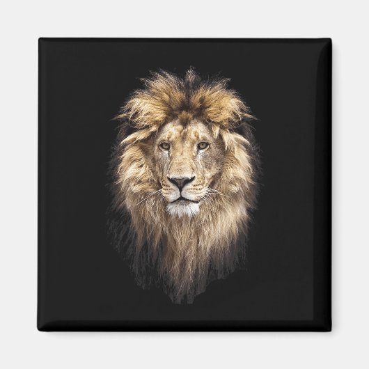 Lion Main Animal Face Big Cat Magnet (Vorne)