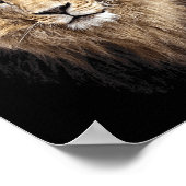 Lion Main Animal Face Big Cat Poster (Ecke)