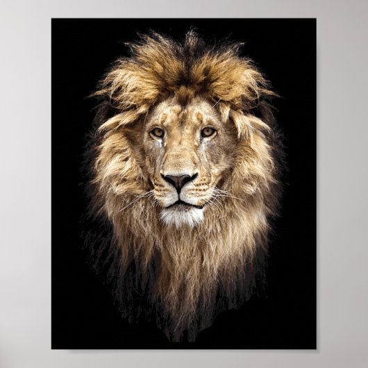 Lion Main Animal Face Big Cat Poster (Vorne)