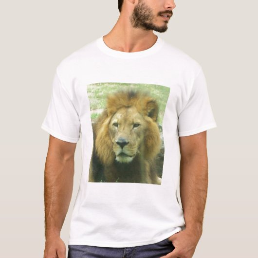 Lion Men's Basic-T - Shirt (Vorderseite)
