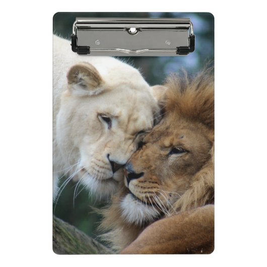 Lion Mini Klemmbrett (Vorderseite)