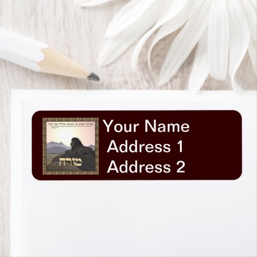 Lion Mizrach (Insitu)