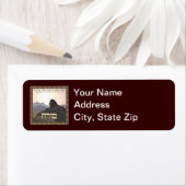 Lion Mizrach (Insitu)