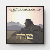 Lion Mizrach Fotoplatte (Vorderseite)