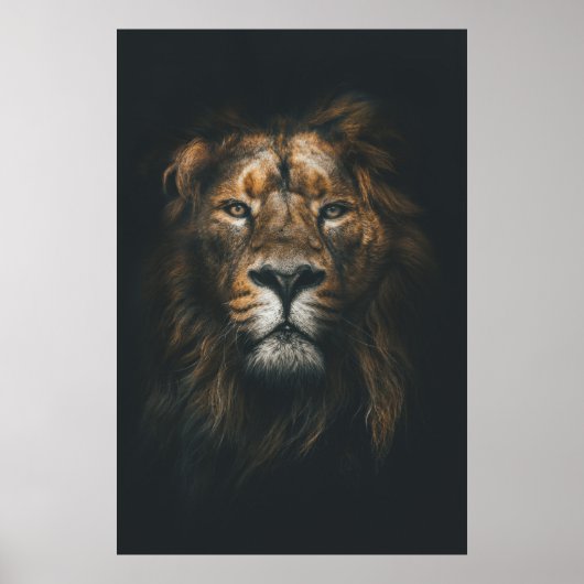Lion Modern Fotografy Poster (Vorne)