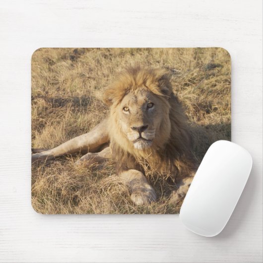 Lion Mouse Pad Mousepad (Mit Mouse)