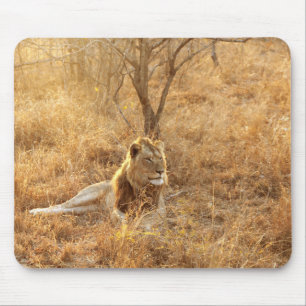 Lion Mouse Pad Mousepad