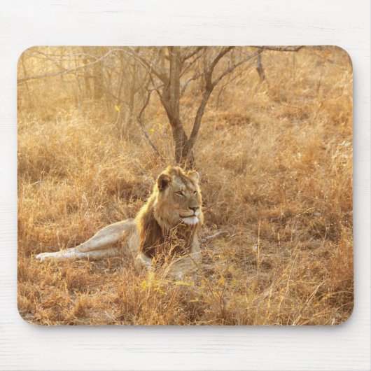 Lion Mouse Pad Mousepad (Vorne)