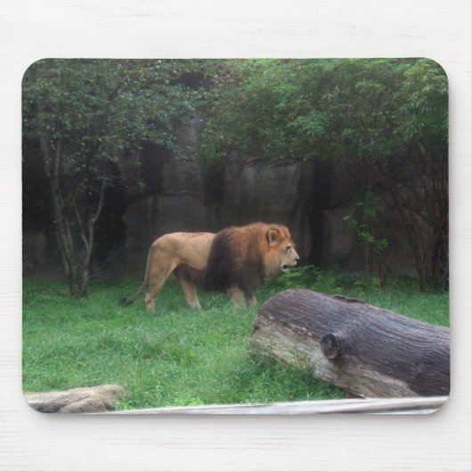 Lion Mousepad (Vorne)