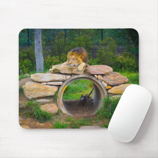 Lion Mousepad (Mit Mouse)