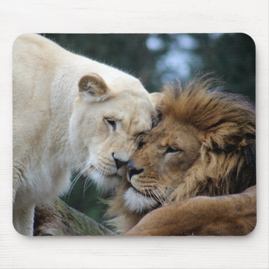 Lion Mousepad (Vorne)