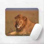 Lion Mousepad (Mit Mouse)