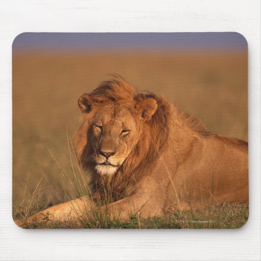 Lion Mousepad (Vorne)