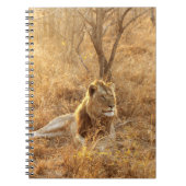 Lion-Notebook Notizblock (Vorderseite)