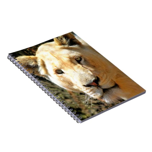 Lion Notizblock (Rechte Seite)