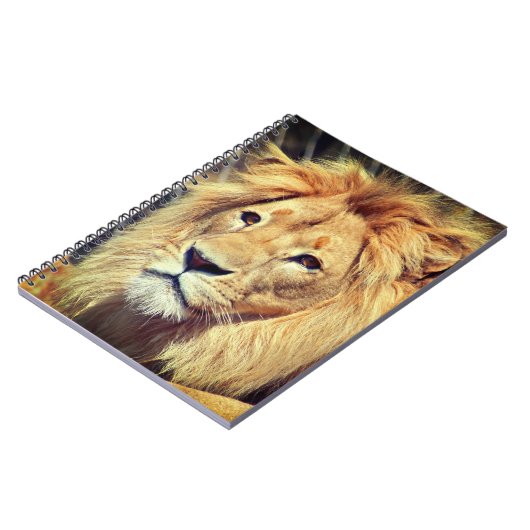 Lion Notizblock (Linke Seite)