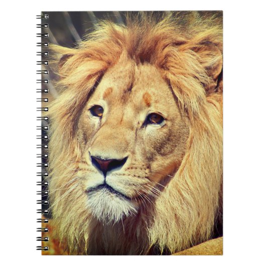 Lion Notizblock (Vorderseite)