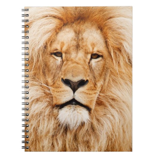 Lion Notizblock (Vorderseite)