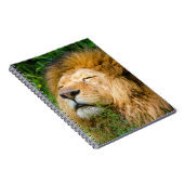 Lion Notizblock (Rechte Seite)