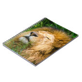Lion Notizblock (Linke Seite)