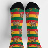 Lion of Judah Jah Rastafari Rasta Reggae Socks Socken (Oben)