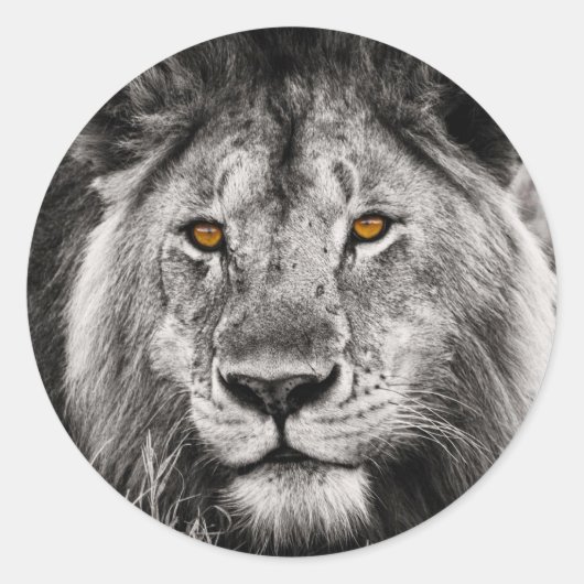 Lion of Judah - Rastafara - Jah Rastafari Sticker (Vorderseite)