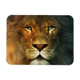 Lion of Judah - Rastafara - Reggae Rasta Magnet