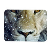 Lion of Judah - Rastafara - Reggae Rasta Magnet (Horizontal)