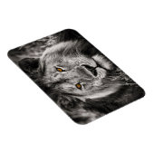 Lion of Judah - Rastafara - Reggae Rasta Magnet (Rechte Seite)