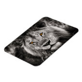 Lion of Judah - Rastafara - Reggae Rasta Magnet (Linke Seite)