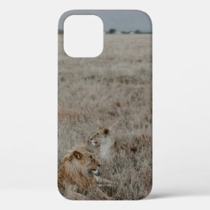 LION ON ON BROWN GRASS FIELD WÄHREND DES TAGES Case-Mate iPhone HÜLLE